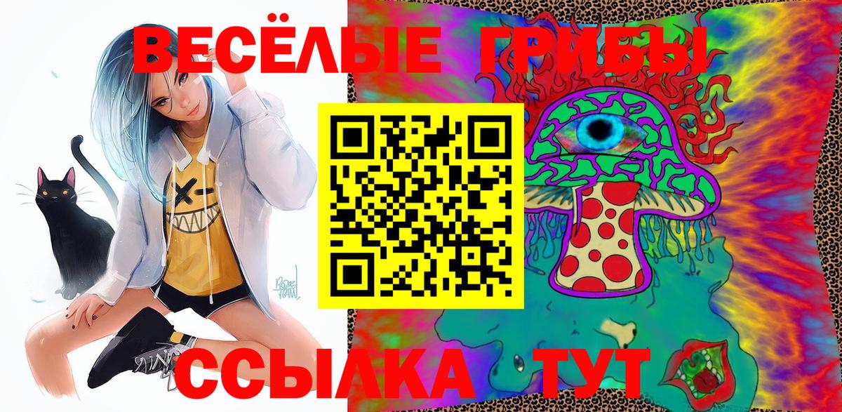 Кизилюрт  Галлюциногенные грибы Psilocybine cubensis  Вход с VPN 